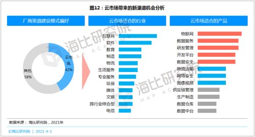 SaaS等數(shù)智化產品呼喚新渠道 網絡與信息安全軟件開發(fā)的機遇與挑戰(zhàn)